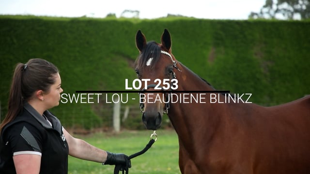 Lot 253