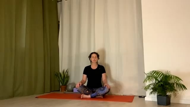 Move with Me // Connect to Breath with Sun Variations // 20min