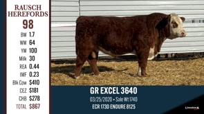 Lot #98 - GR EXCEL 3640