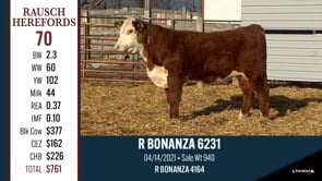 Lot #70 - R BONANZA 6231