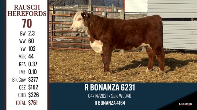 Lot #70 - R BONANZA 6231