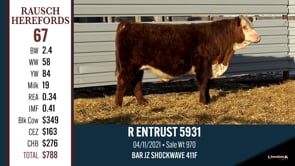 Lot #67 - R ENTRUST 5931