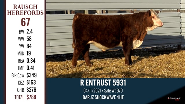 Lot #67 - R ENTRUST 5931