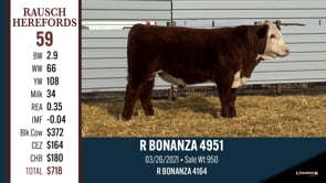 Lot #59 - R BONANZA 4951