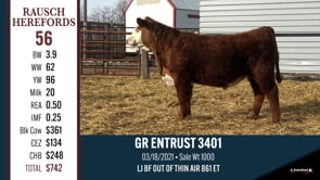 Lot #56 - GR ENTRUST 3401