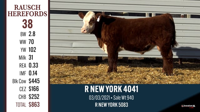 Lot #38 - R NEW YORK 4041