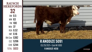 Lot #32 - R ANODIZE 5091