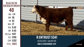 Lot #40 - R ENTRUST 5341