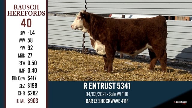 Lot #40 - R ENTRUST 5341