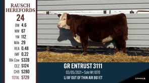 Lot #24 - GR ENTRUST 3111