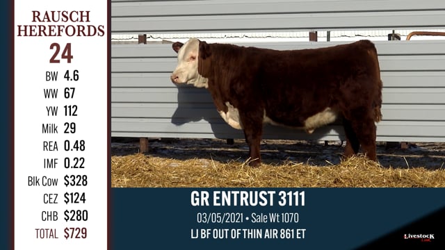 Lot #24 - GR ENTRUST 3111