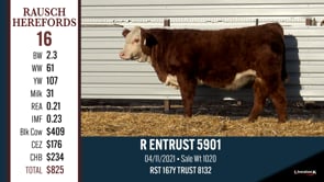 Lot #16 - R ENTRUST 5901