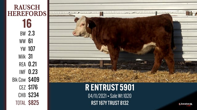 Lot #16 - R ENTRUST 5901
