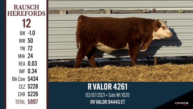 Lot #12 - R VALOR 4261