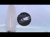 Proyecto NaturaAlpha  - Lavandera Blanca