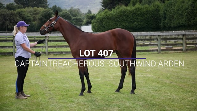 Lot 407
