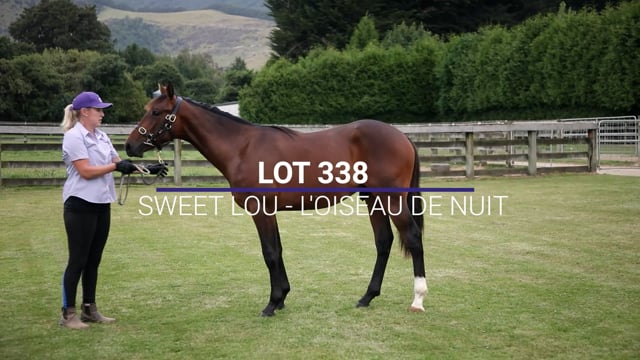 Lot 338
