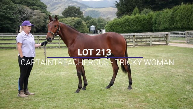 Lot 213