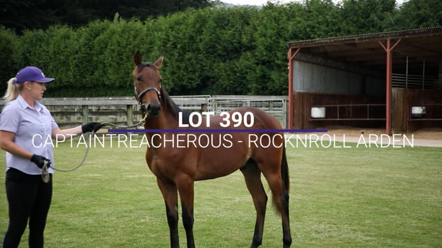 Lot 390