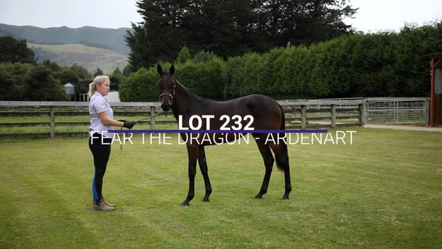 Lot 232