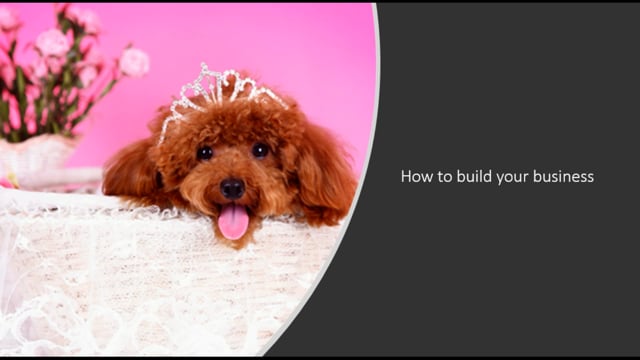 Building your business when you are new