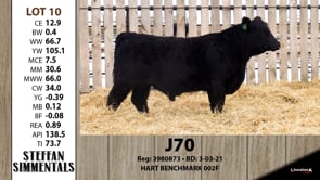 Lot #10 - J70