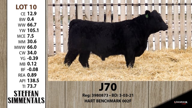 Lot #10 - J70