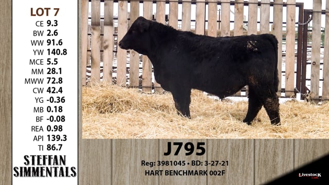 Lot #7 - J795