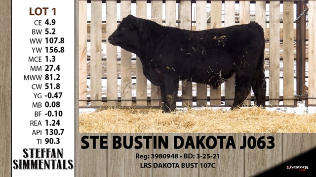 Lot #1 - STE BUSTIN DAKOTA J063