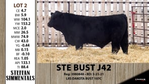 Lot #2 - STE BUST J42