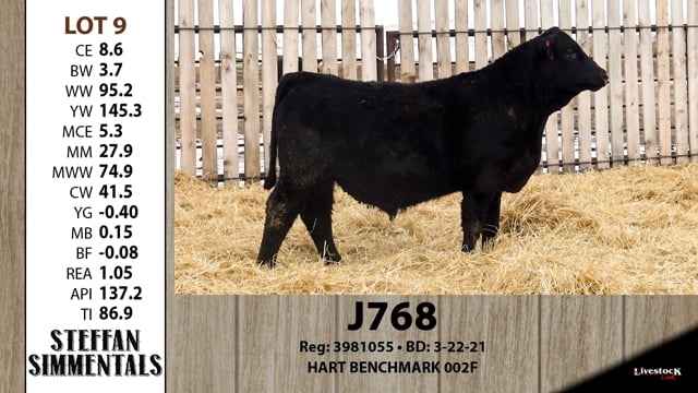 Lot #9 - J768