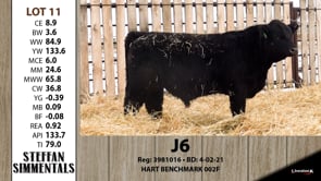 Lot #11 - J6