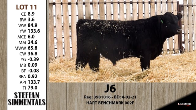 Lot #11 - J6