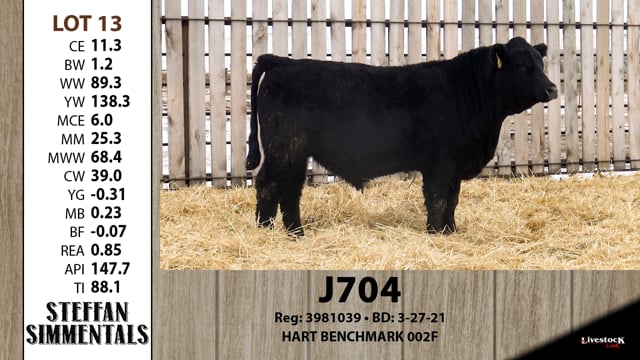 Lot #13 - J704