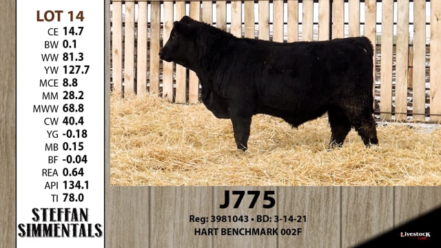 Lot #14 - J775