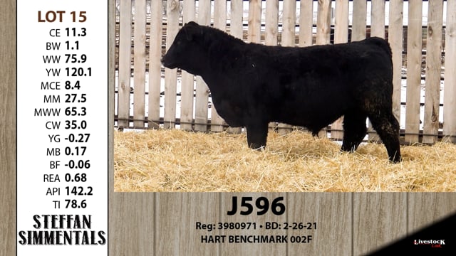 Lot #15 - J596