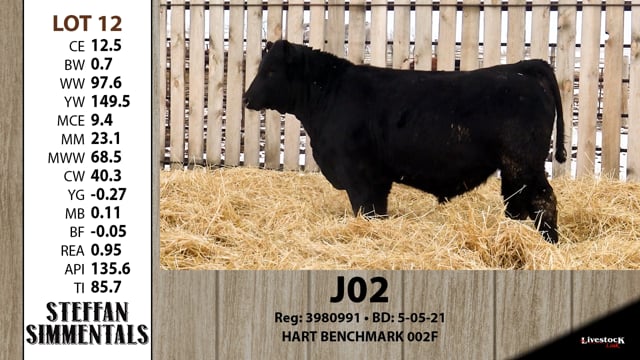 Lot #12 - J02