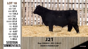 Lot #18 - J21