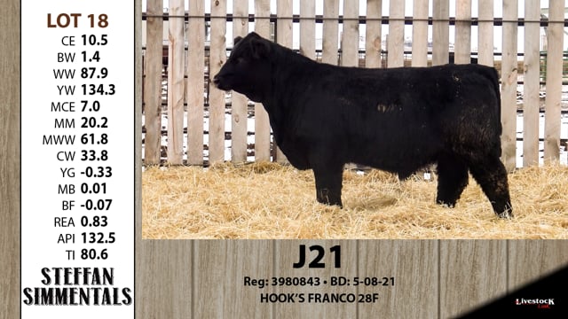 Lot #18 - J21