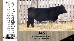 Lot #20 - J45