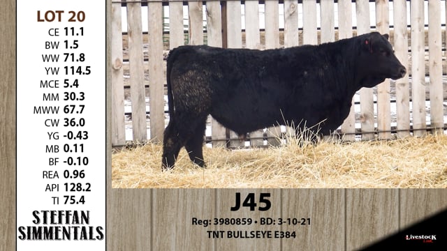 Lot #20 - J45
