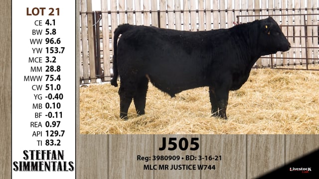 Lot #21 - J505