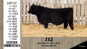 Lot #27 - J32