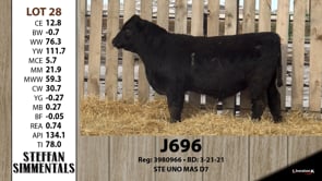 Lot #28 - J696