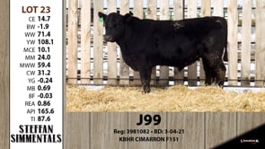 Lot #23 - J99