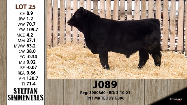 Lot #25 - J089