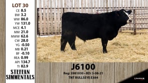Lot #30 - J6100