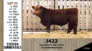 Lot #33 - J422