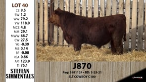 Lot #40 - J870