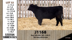 Lot #32 - J1168
